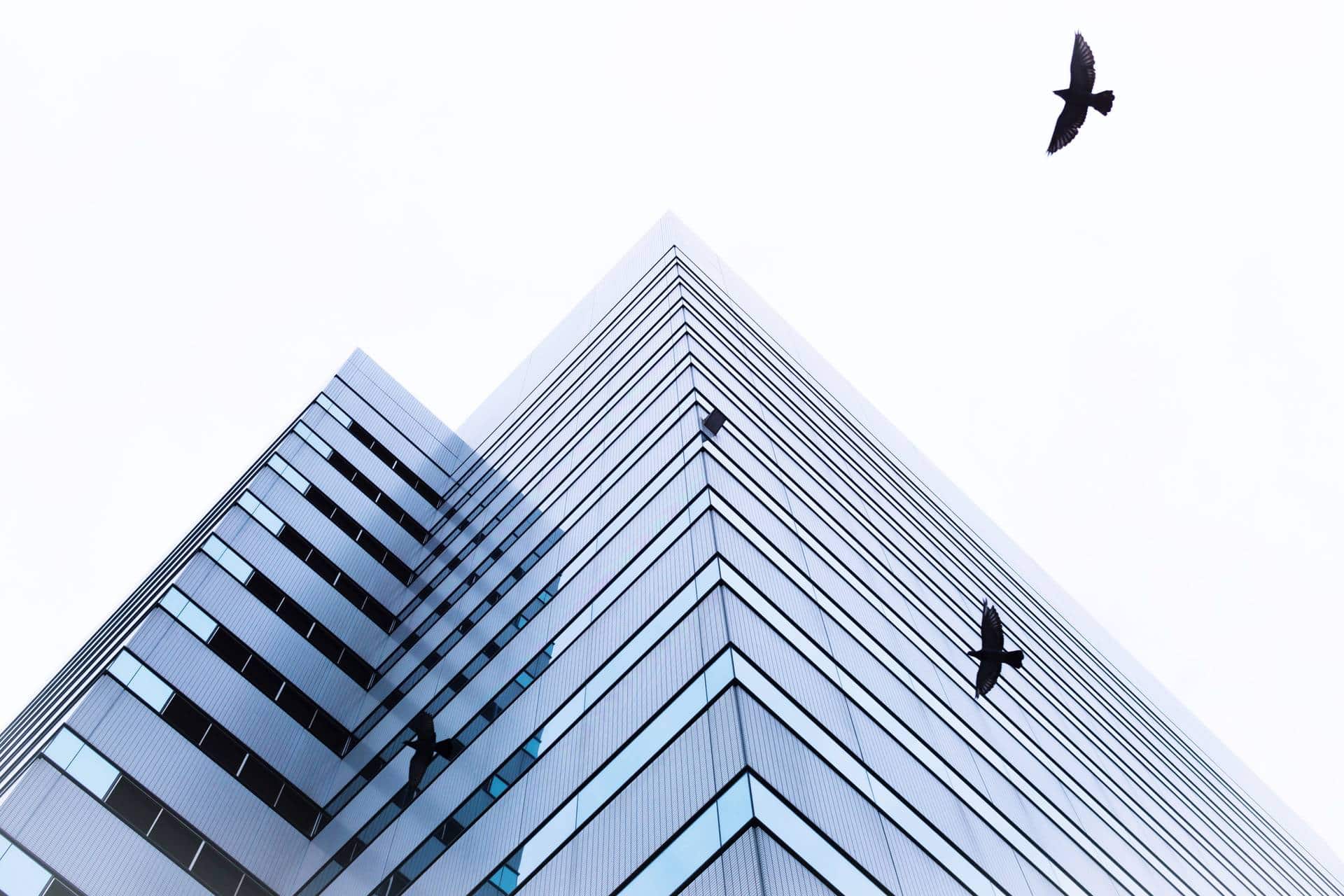 Foliendesign Düren Car Wrapping Werbetechnik