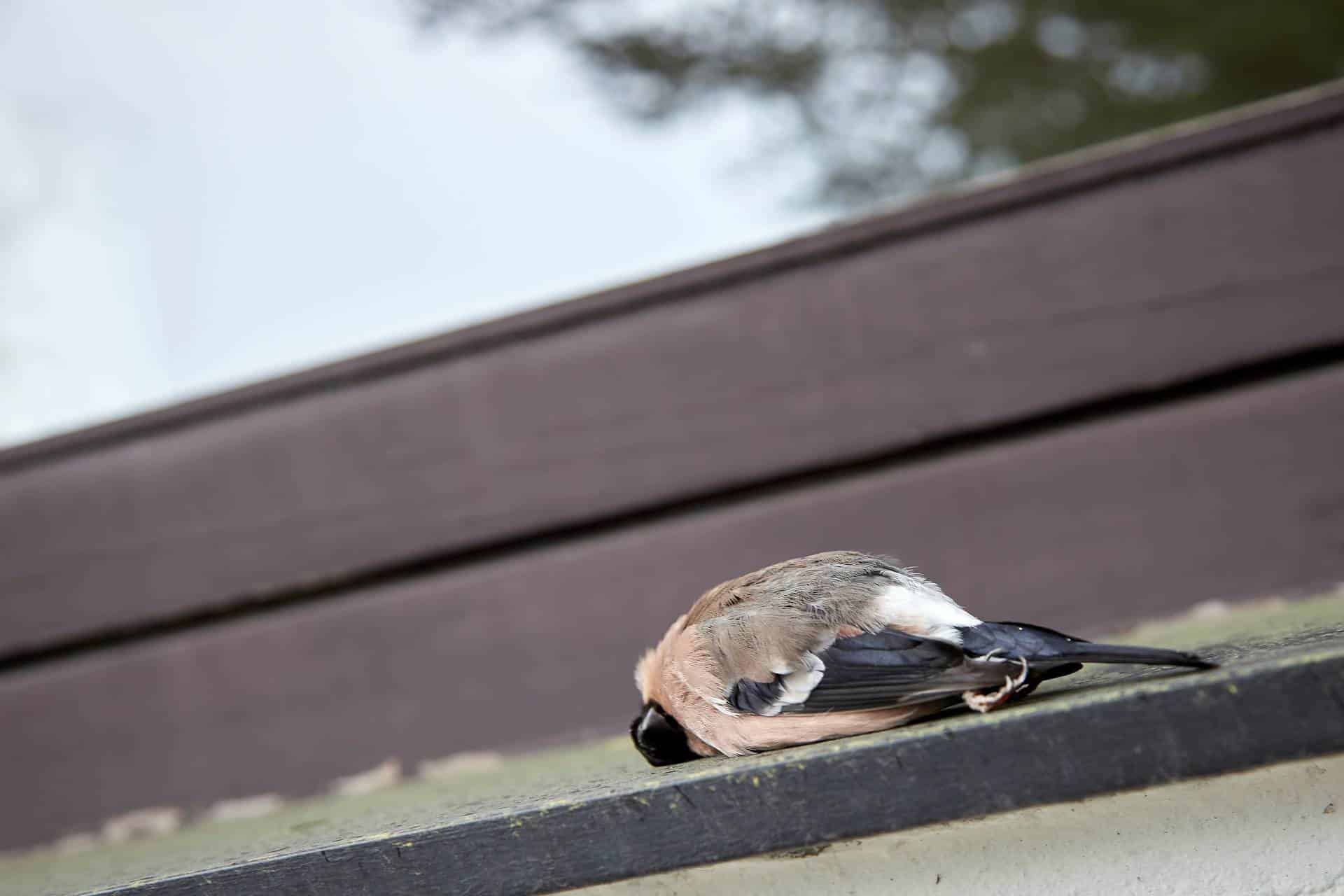 Foliendesign Düren Car Wrapping Werbetechnik